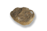 F 10097
<br/>
<br/>
<em></em>